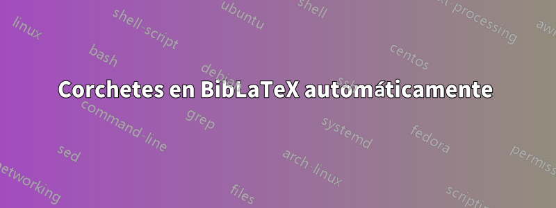 Corchetes en BibLaTeX automáticamente