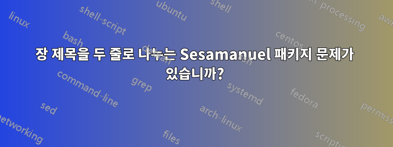 장 제목을 두 줄로 나누는 Sesamanuel 패키지 문제가 있습니까?