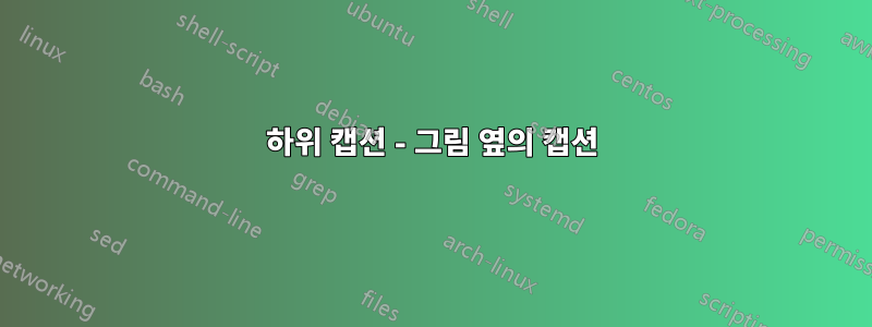 하위 캡션 - 그림 옆의 캡션