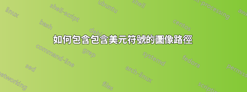 如何包含包含美元符號的圖像路徑