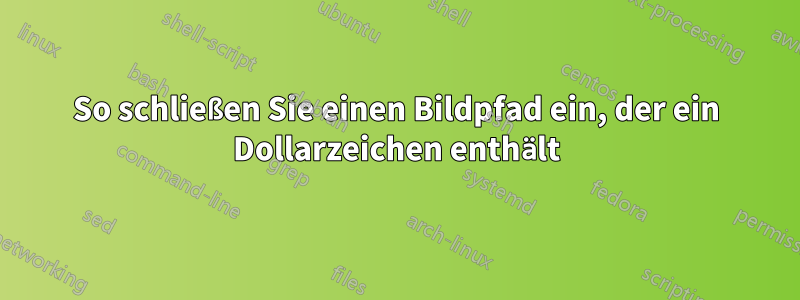 So schließen Sie einen Bildpfad ein, der ein Dollarzeichen enthält