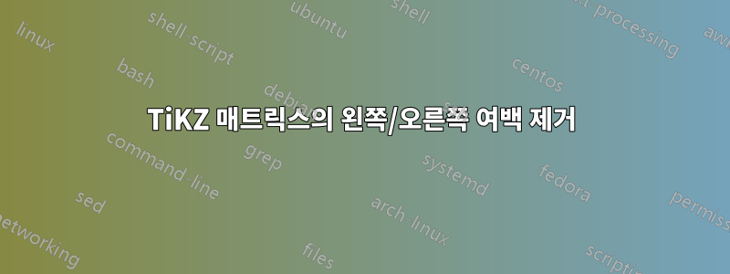 TiKZ 매트릭스의 왼쪽/오른쪽 여백 제거