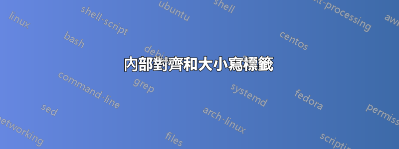 內部對齊和大小寫標籤