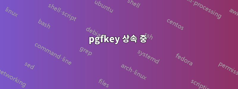 pgfkey 상속 중