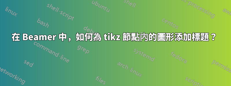 在 Beamer 中,如何為 tikz 節點內的圖形添加標題?