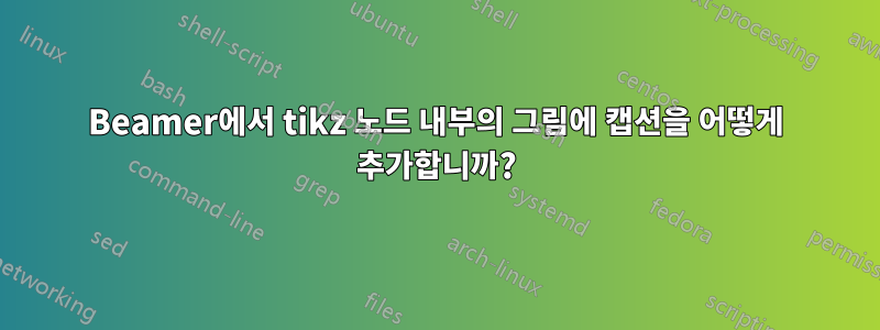 Beamer에서 tikz 노드 내부의 그림에 캡션을 어떻게 추가합니까?