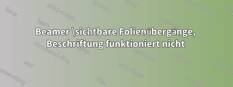 Beamer \sichtbare Folienübergänge, Beschriftung funktioniert nicht