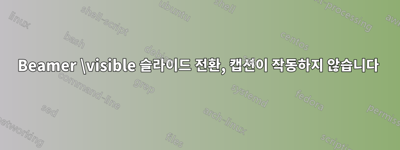 Beamer \visible 슬라이드 전환, 캡션이 작동하지 않습니다