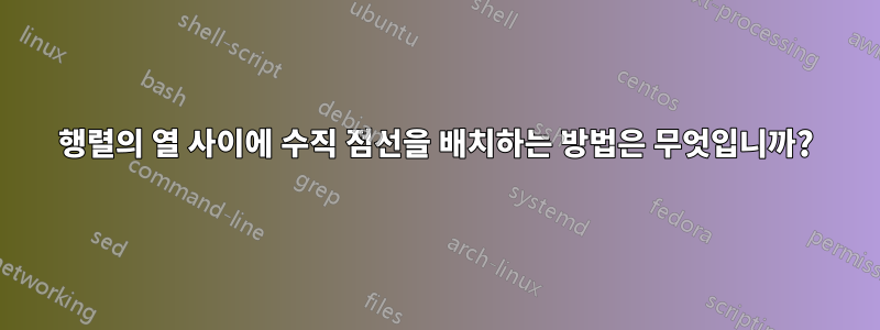 행렬의 열 사이에 수직 점선을 배치하는 방법은 무엇입니까?