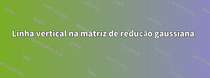 Linha vertical na matriz de redução gaussiana 