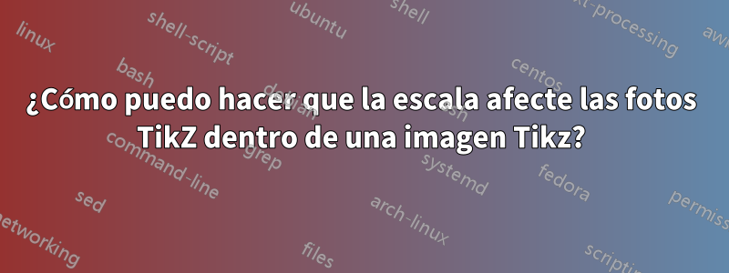 ¿Cómo puedo hacer que la escala afecte las fotos TikZ dentro de una imagen Tikz?