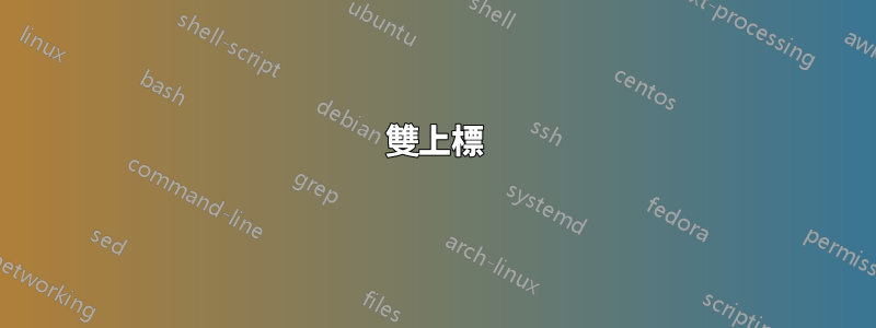 雙上標