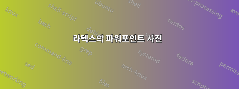 라텍스의 파워포인트 사진 