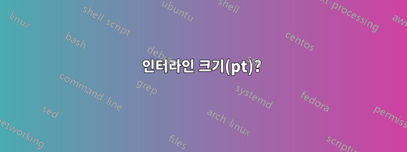 인터라인 크기(pt)?