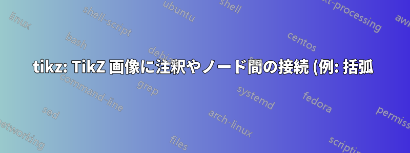 tikz: TikZ 画像に注釈やノード間の接続 (例: 括弧) を追加する