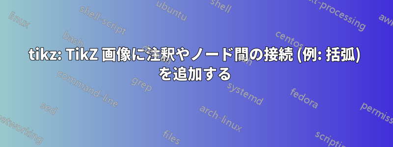 tikz: TikZ 画像に注釈やノード間の接続 (例: 括弧) を追加する