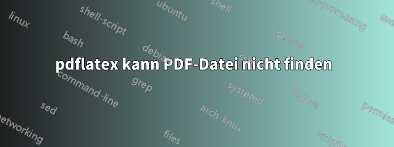 pdflatex kann PDF-Datei nicht finden 