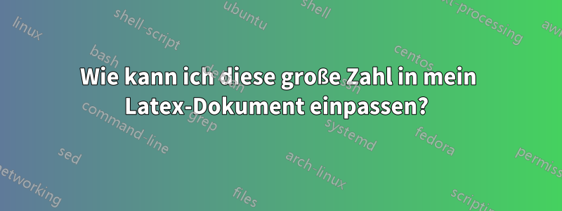 Wie kann ich diese große Zahl in mein Latex-Dokument einpassen? 