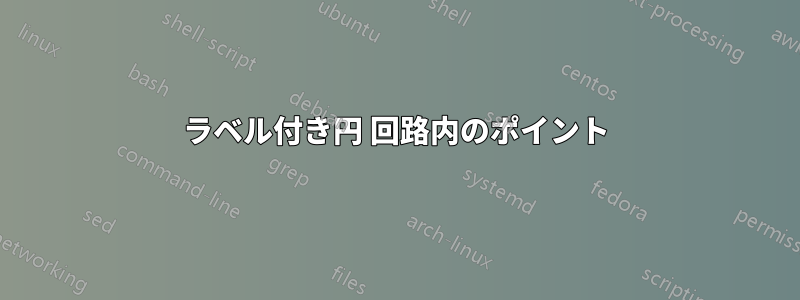 ラベル付き円 回路内のポイント