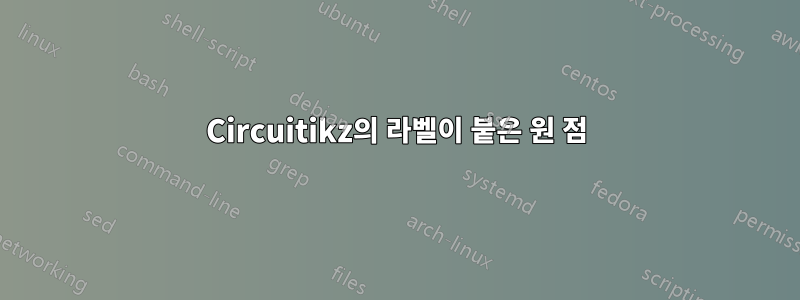 Circuitikz의 라벨이 붙은 원 점