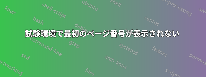 試験環境で最初のページ番号が表示されない