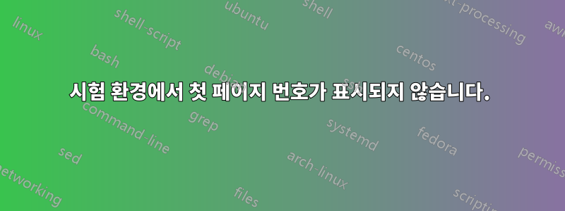 시험 환경에서 첫 페이지 번호가 표시되지 않습니다.