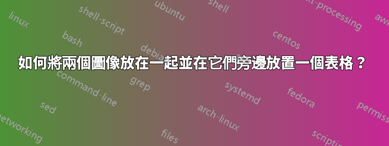 如何將兩個圖像放在一起並在它們旁邊放置一個表格？