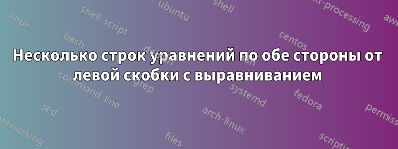 Несколько строк уравнений по обе стороны от левой скобки с выравниванием