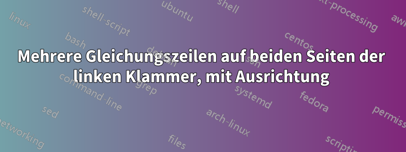 Mehrere Gleichungszeilen auf beiden Seiten der linken Klammer, mit Ausrichtung