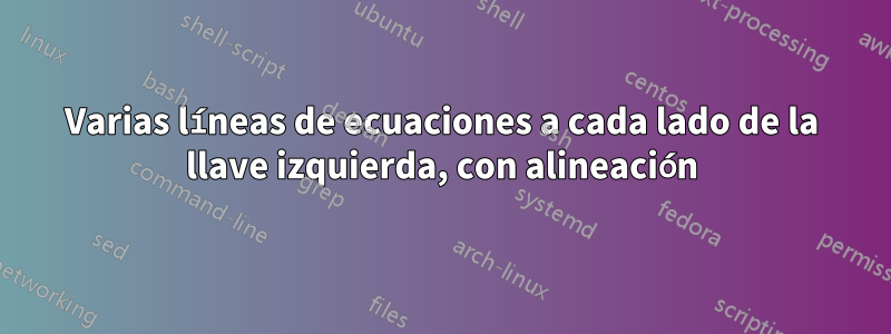 Varias líneas de ecuaciones a cada lado de la llave izquierda, con alineación