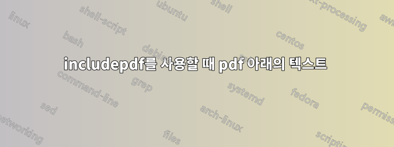 includepdf를 사용할 때 pdf 아래의 텍스트