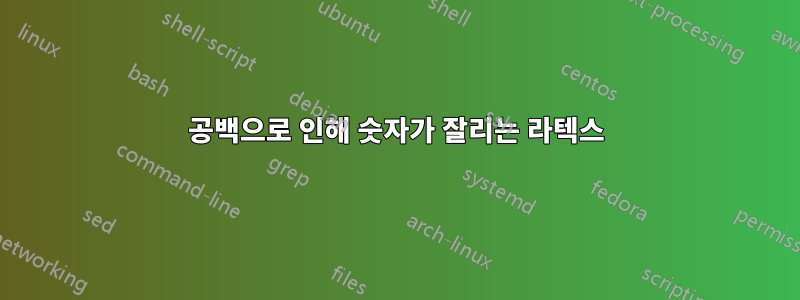 공백으로 인해 숫자가 잘리는 라텍스