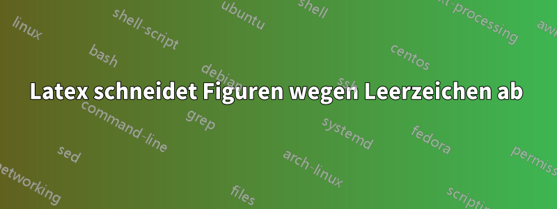 Latex schneidet Figuren wegen Leerzeichen ab