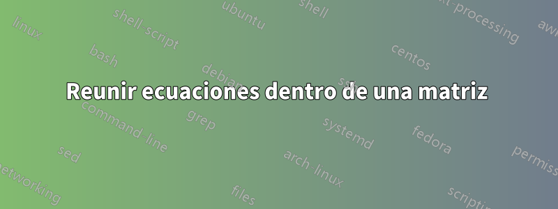 Reunir ecuaciones dentro de una matriz