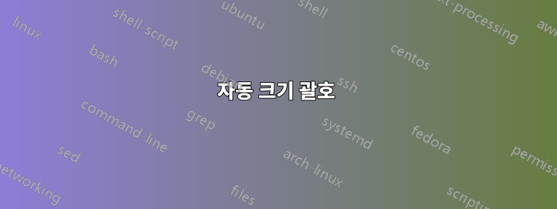 자동 크기 괄호