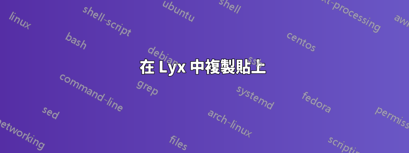 在 Lyx 中複製貼上