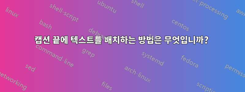 캡션 끝에 텍스트를 배치하는 방법은 무엇입니까?