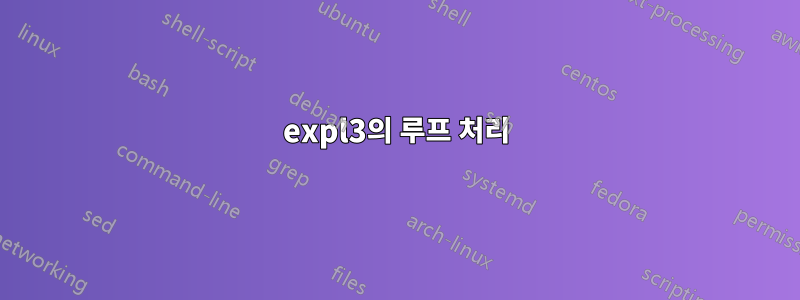 expl3의 루프 처리