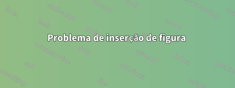 Problema de inserção de figura