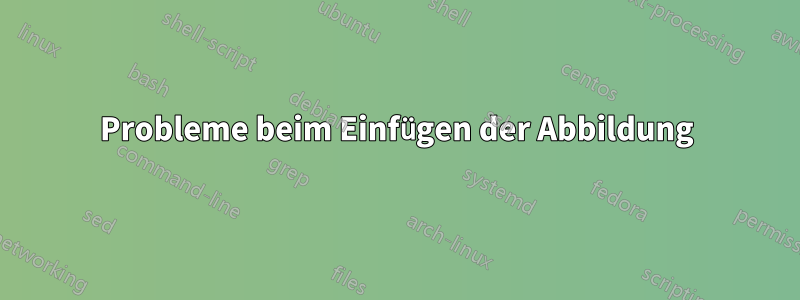 Probleme beim Einfügen der Abbildung