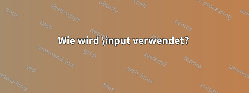 Wie wird \input verwendet?