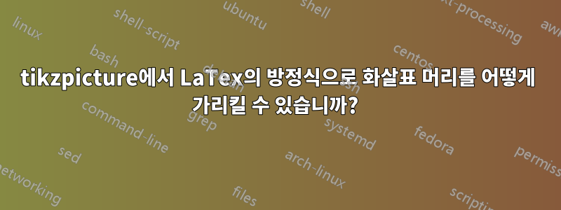 tikzpicture에서 LaTex의 방정식으로 화살표 머리를 어떻게 가리킬 수 있습니까? 