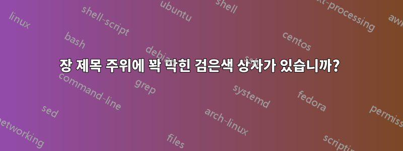 장 제목 주위에 꽉 막힌 검은색 상자가 있습니까?