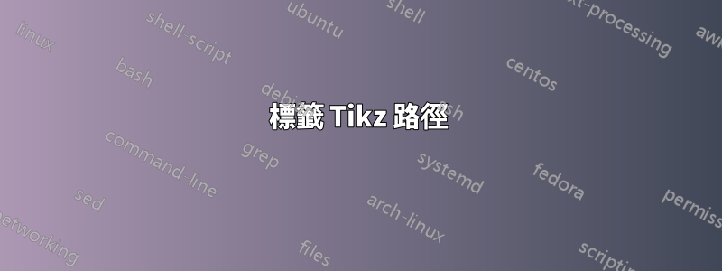 標籤 Tikz 路徑