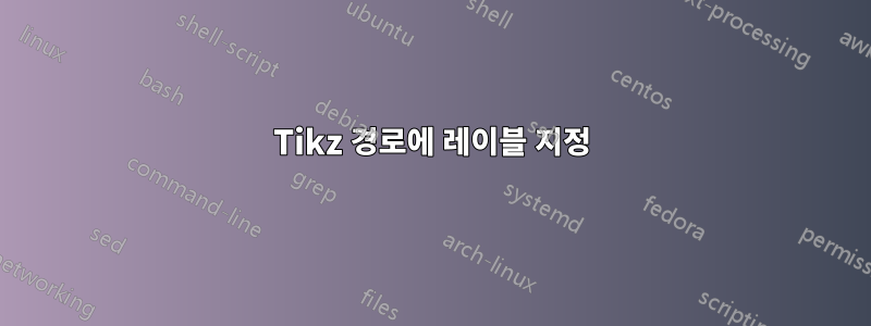 Tikz 경로에 레이블 지정