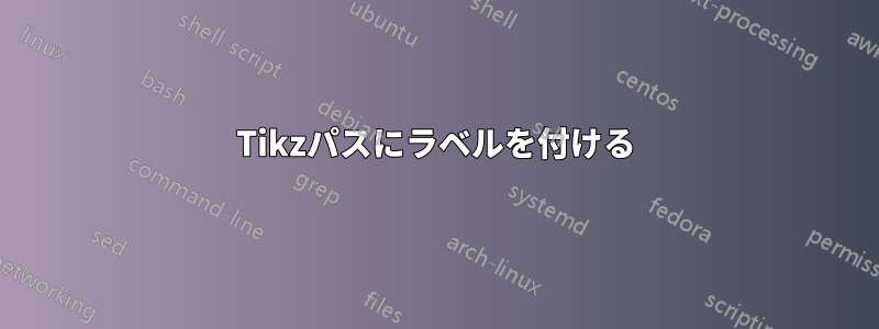 Tikzパスにラベルを付ける