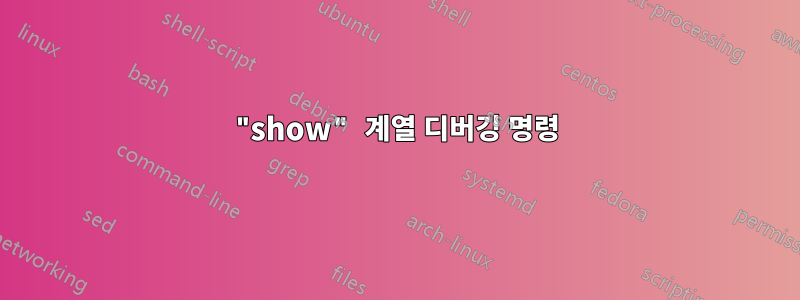 "show" 계열 디버깅 명령