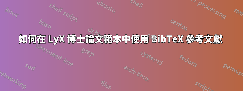 如何在 LyX 博士論文範本中使用 BibTeX 參考文獻