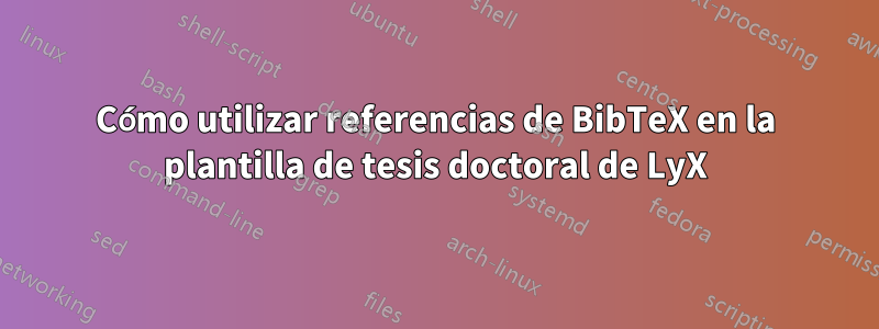 Cómo utilizar referencias de BibTeX en la plantilla de tesis doctoral de LyX