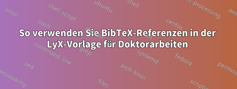 So verwenden Sie BibTeX-Referenzen in der LyX-Vorlage für Doktorarbeiten